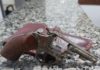 São Luís: Polícia militar apreende arma de fogo