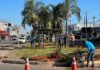 São Luís: Revitalização do canteiro central da Avenida Hermógenes Coelho avança para mais uma etapa