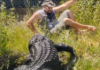 VÍDEO: Domador quase vira almoço de jacaré em parque do Colorado, nos EUA