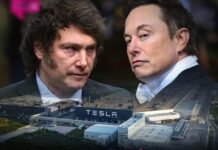 Milei oferece ajuda a Musk no conflito com STF