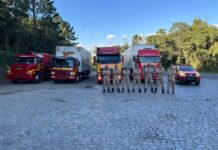 Carretas com mais de 290 toneladas de donativos de Goiás chegam ao RS