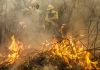 Incêndios florestais no Brasil queimam uma cidade do Rio a cada 5 dias