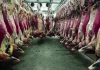 China anuncia suspensão da compra de carne bovina de frigorífico de Goiás e outros 2 estados