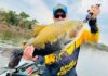 Torneios de pesca esportiva movimentam cidades ribeirinhas de Goiás