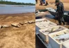 Sete pessoas são flagradas com 720 kg de peixe e dez tartarugas no Parque Nacional do Araguaia
