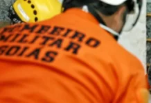 Bombeiro que atirou em cachorro diz que tentou assustar animal em Goiânia