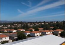Secretária de Educação acompanha avanço de cinco importantes obras na rede municipal de ensino